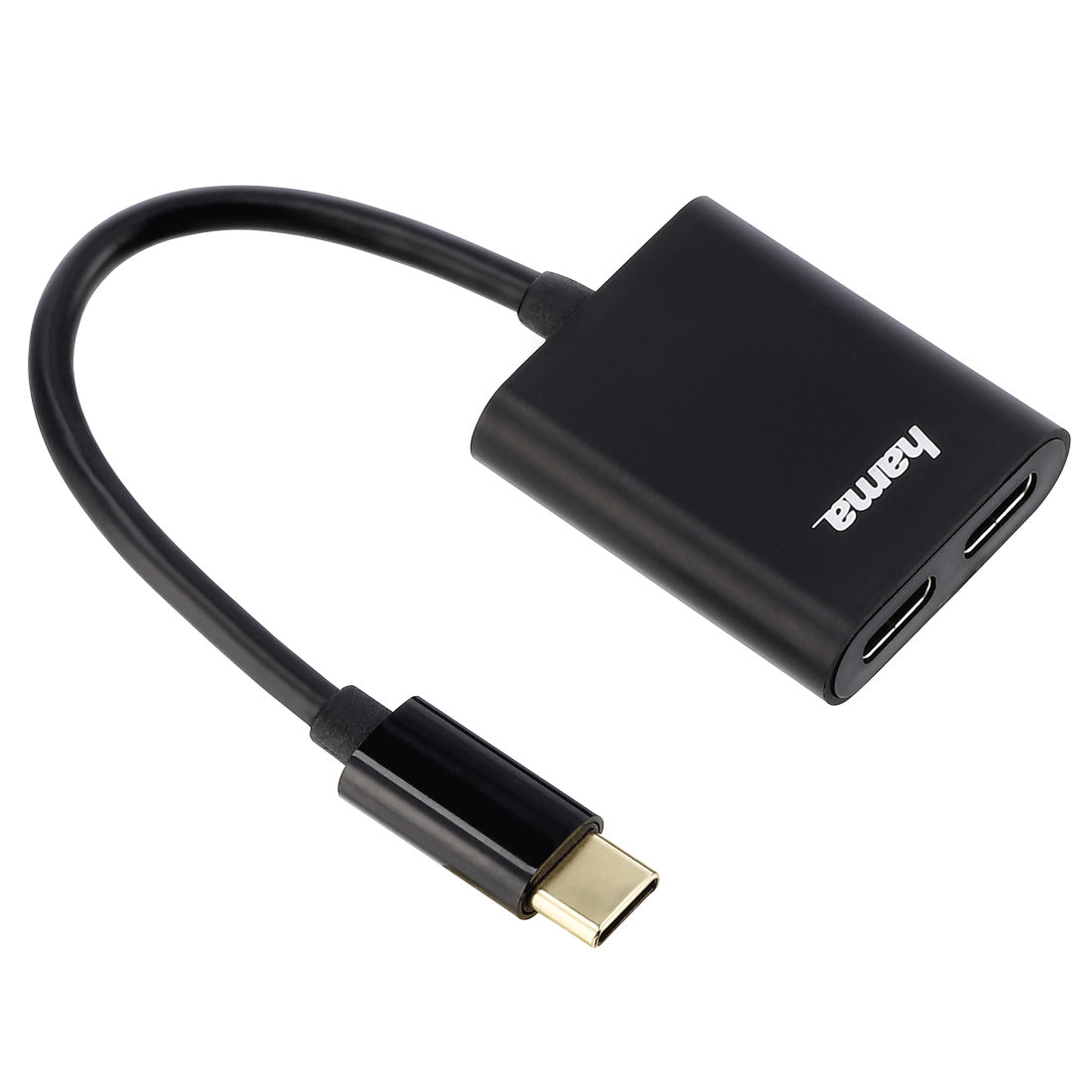 2-in-1 USB-C Audio Jack Adapter
